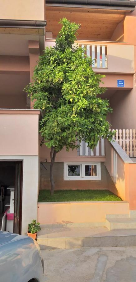 Apartmani Damant Zadar Kamer foto