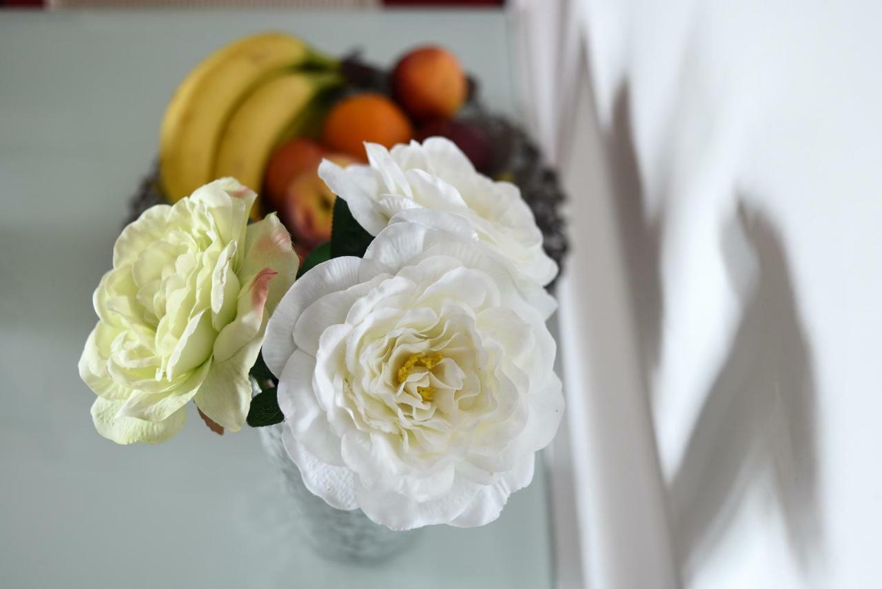 Apartmani Damant Zadar Buitenkant foto